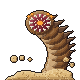 Sand Wyrm